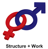 Yin And Yang Yin And Yang