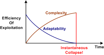 Complexity Vs Adaptability