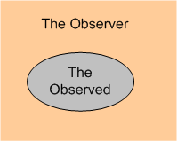 observer observee