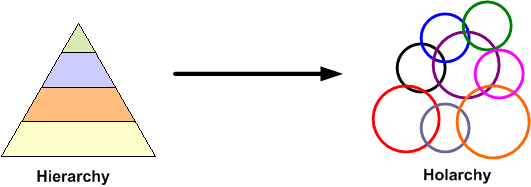 Hierarchy Holarchy