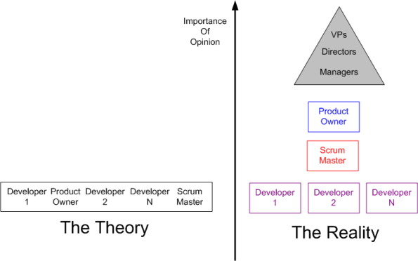 Theory And Reality