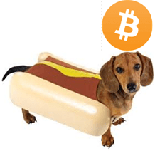 BTCdog