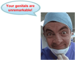 genitals